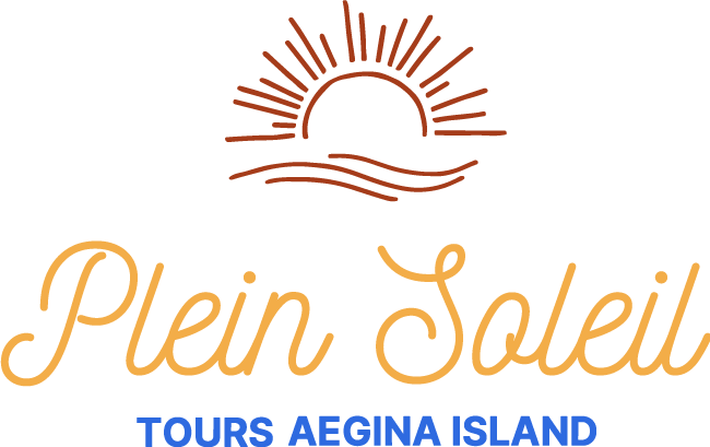plein soleil logo web