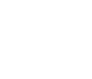 plein soleil logo white web 2