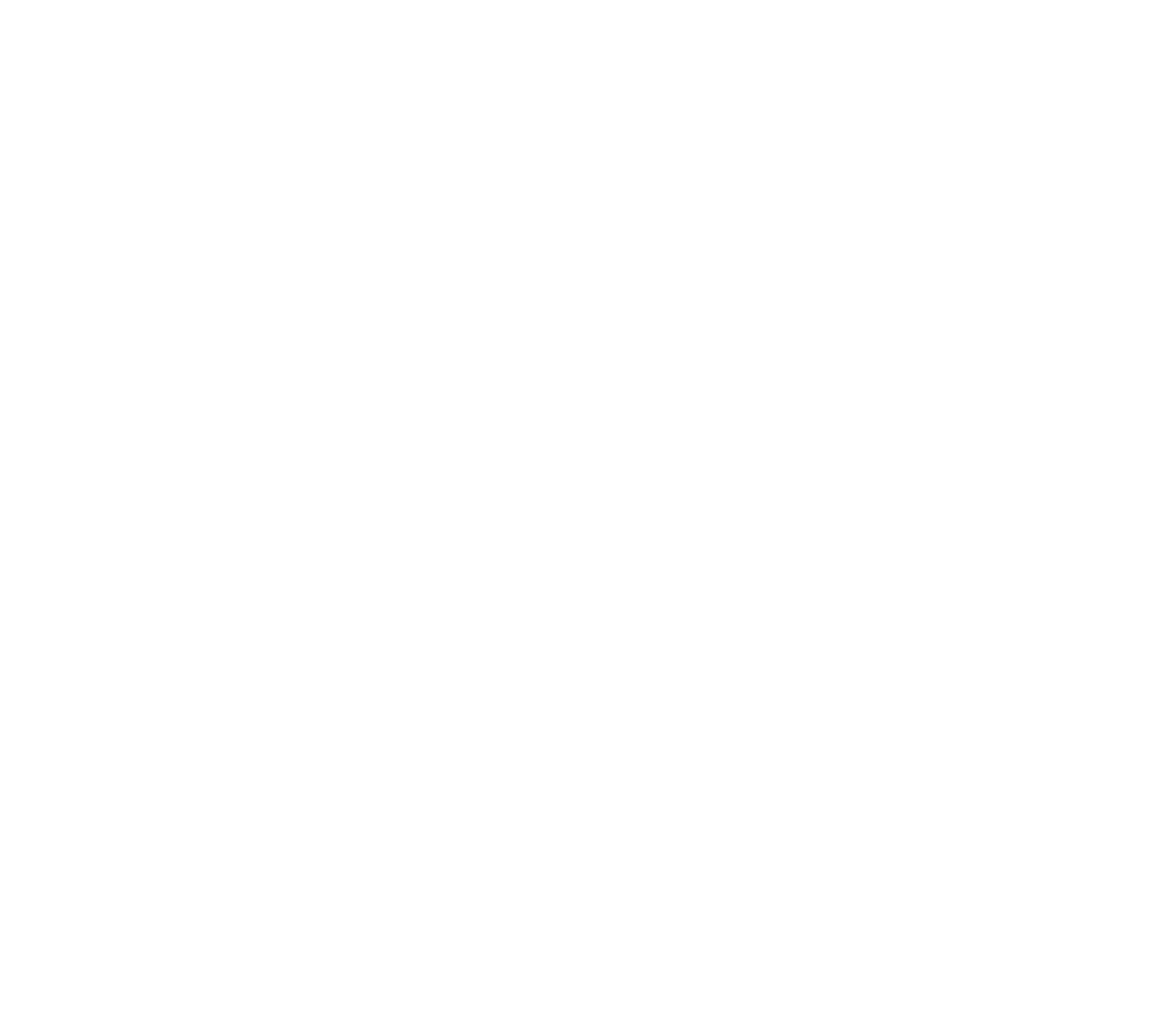 plein soleil logo white web 2