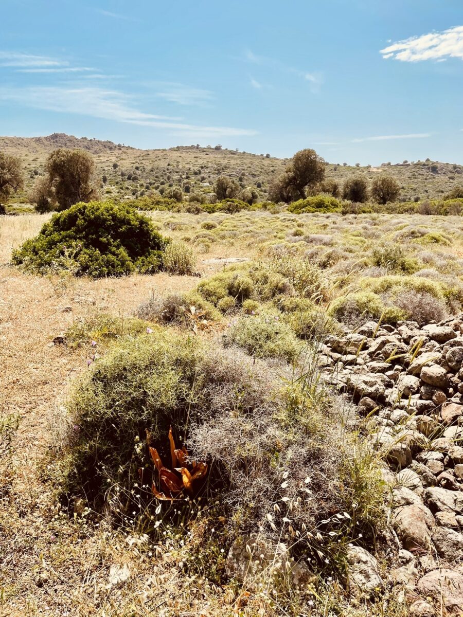 1E22F223 1C2D 44F9 99D4 2B06096B4F8C 1 102 a