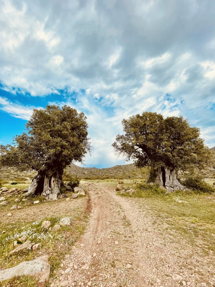 3DEEEB6B CD6C 4457 BB7E F2BD3BBD58CF 1 102 a