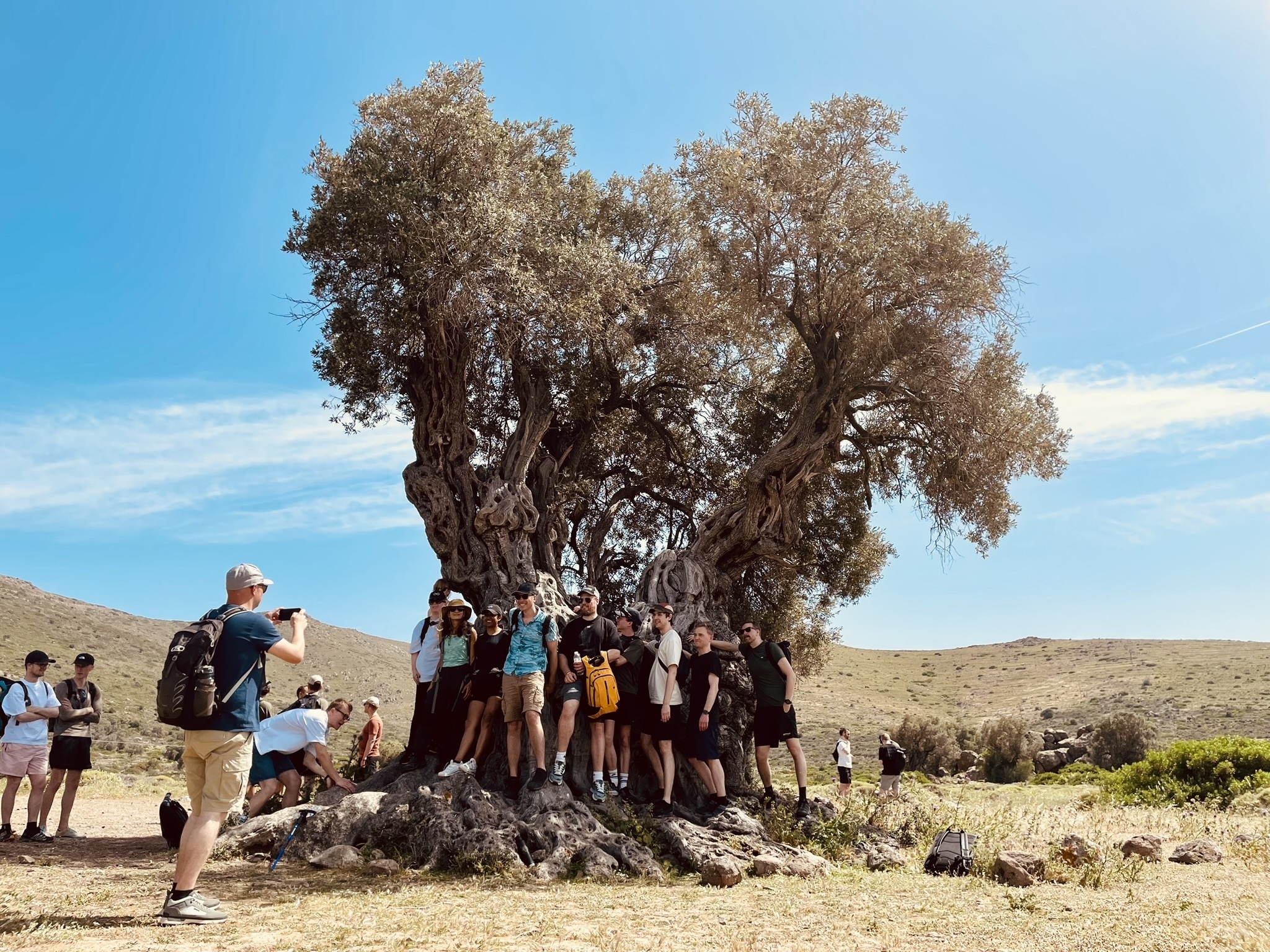 89D00677 401D 4BAF 990A C9E0EDD5ECE7 1 102 a 2