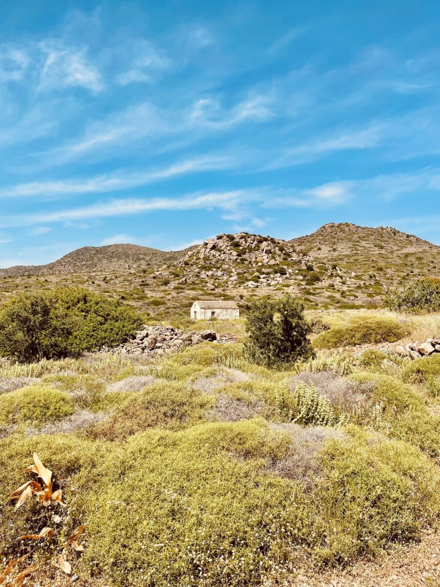 F80273DE E40B 4A02 98F9 0B14CF9FF823 1 102 a 2